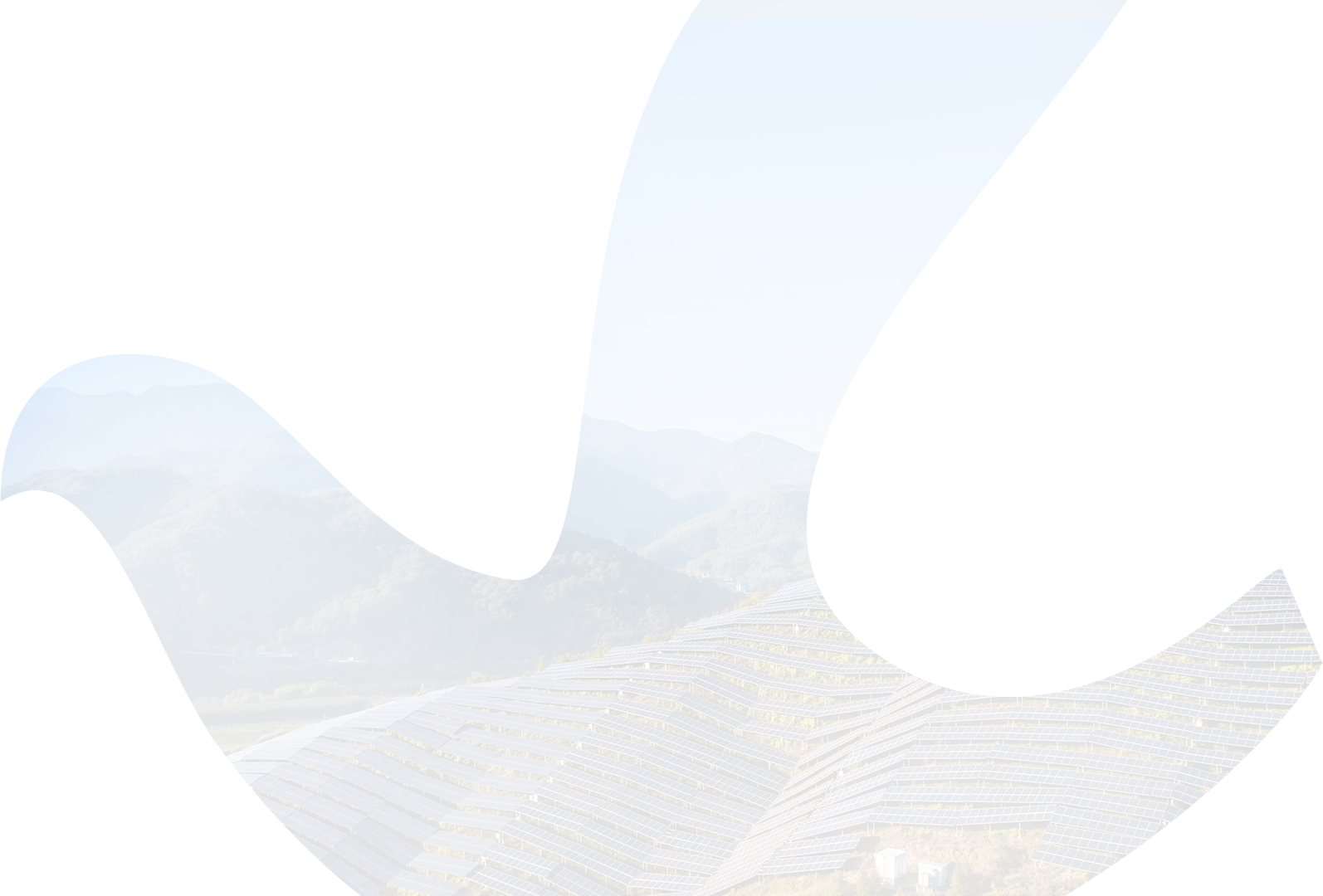 尊龙官方官网